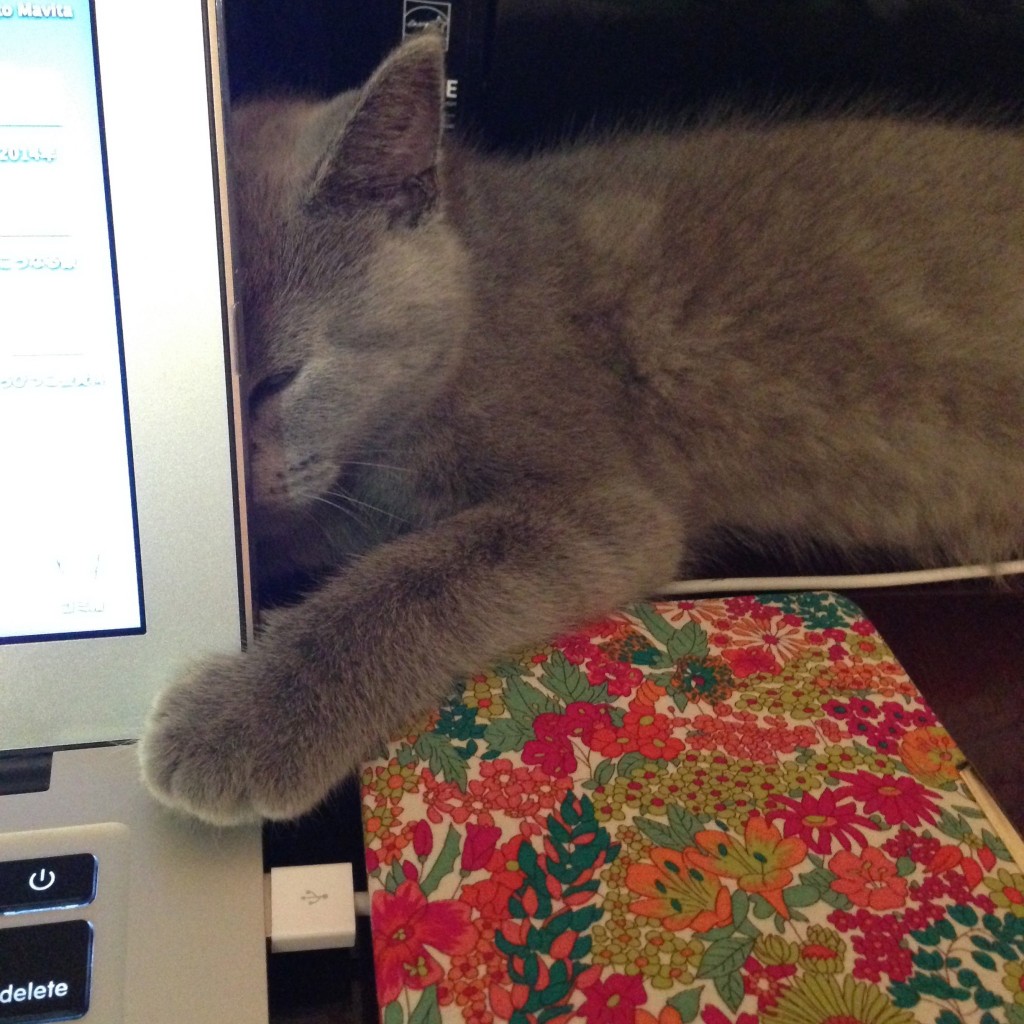 眠いけど遊びたいけど眠いのだ・・・