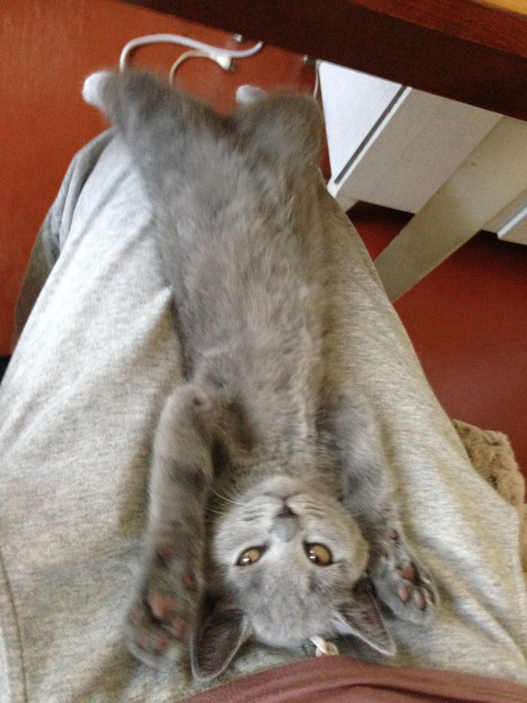 眠いのだ・・・