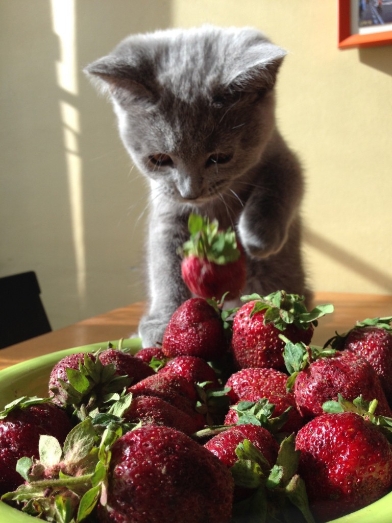 あ、落とした！