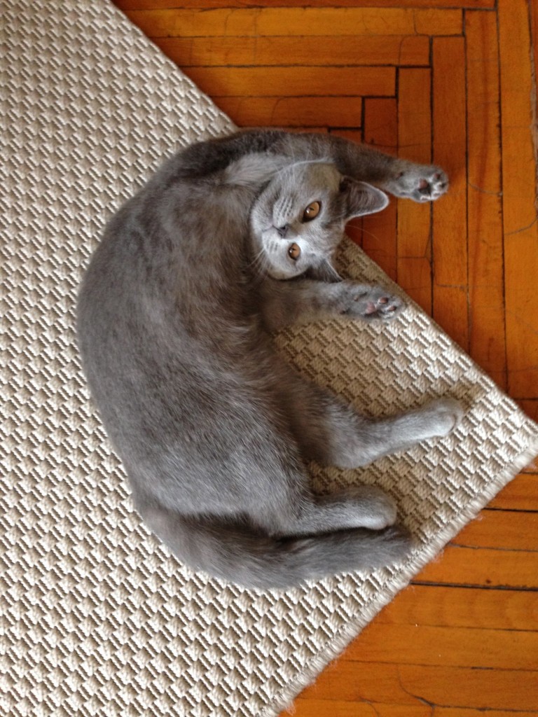 元気ですけど、何か？