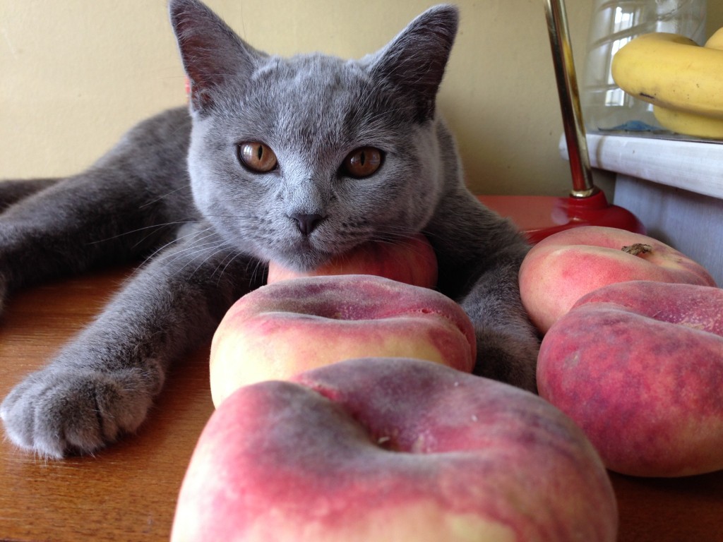 桃枕。丁度良いんだなー。しかも良い匂い