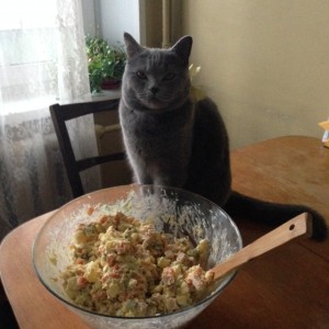 オリビエとふぁーにゃ