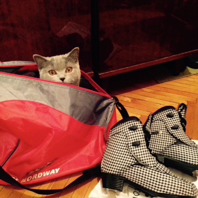 私を連れて行くべし