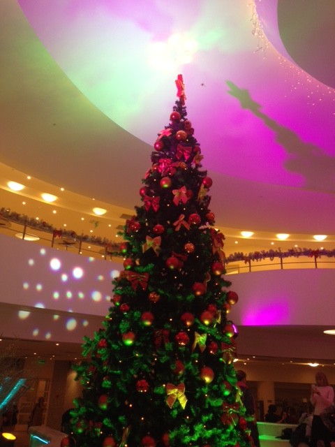 こちらコンサートホール内にあったもの。天井に映った影がまるでオーロラみたいで綺麗でした