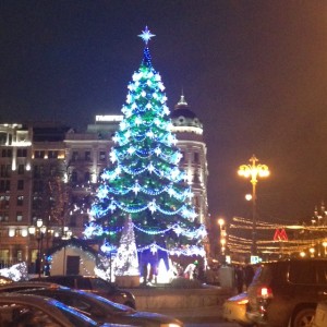 現在もまだ街中に溢れるもみの木。今年はどこもかなり豪華です
