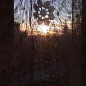 太陽ってありがたい･･･