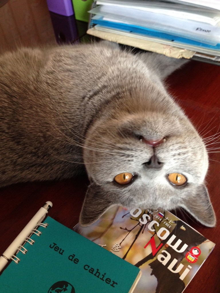 おそろしいにゃぁー