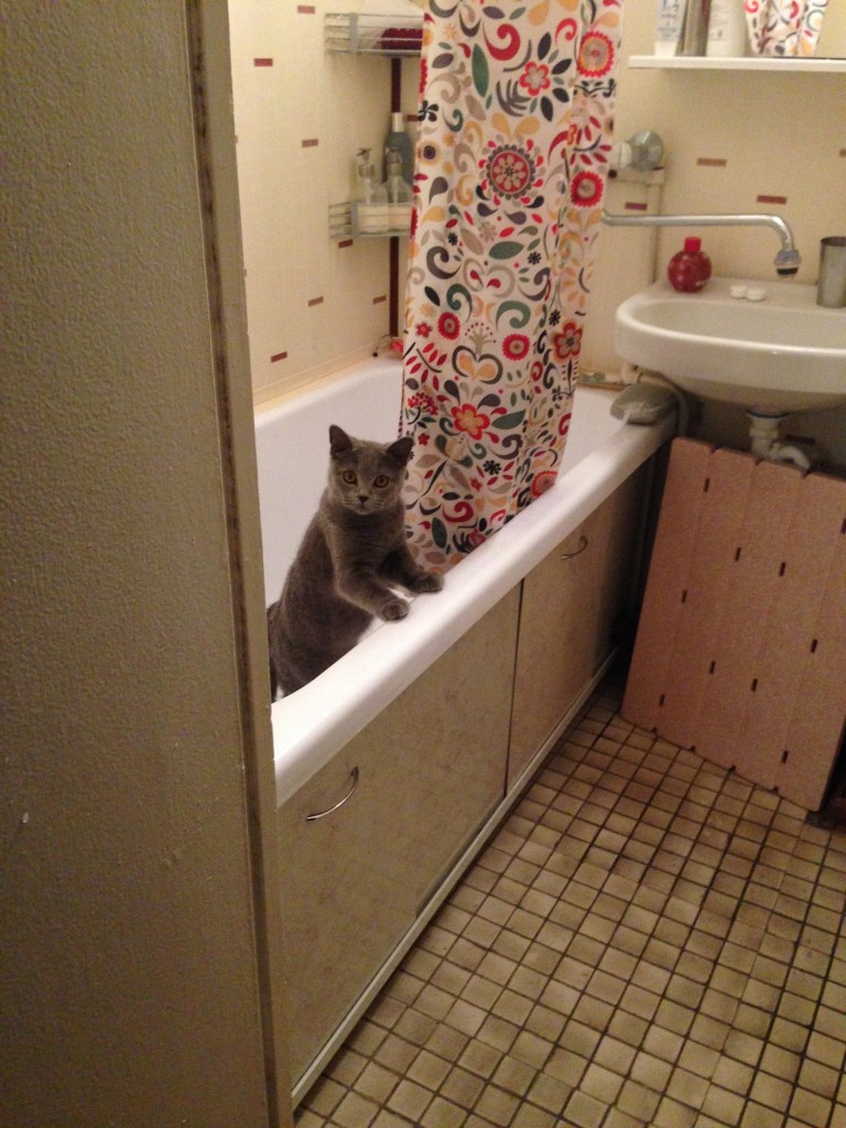 お風呂入るの??