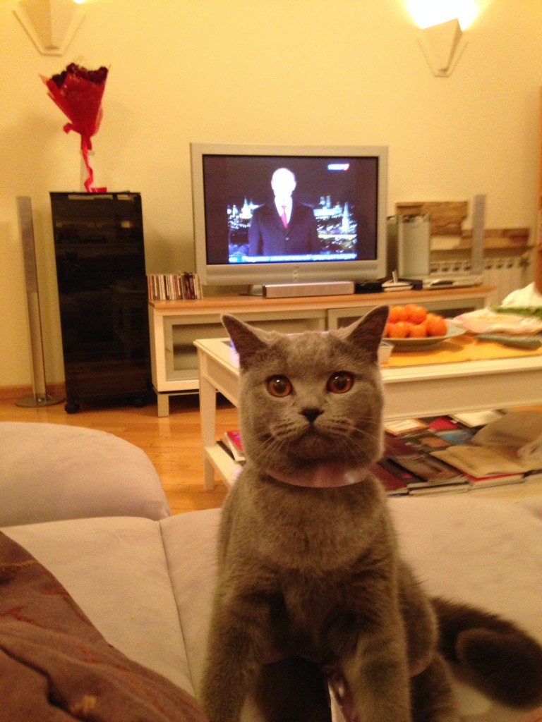 はっ！プーチンさまの気配が・・・