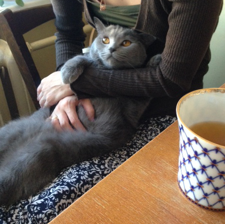 私には見えています。放してくれる気配はないってことが