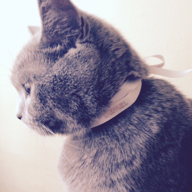 ムルムル嬉しそうでした