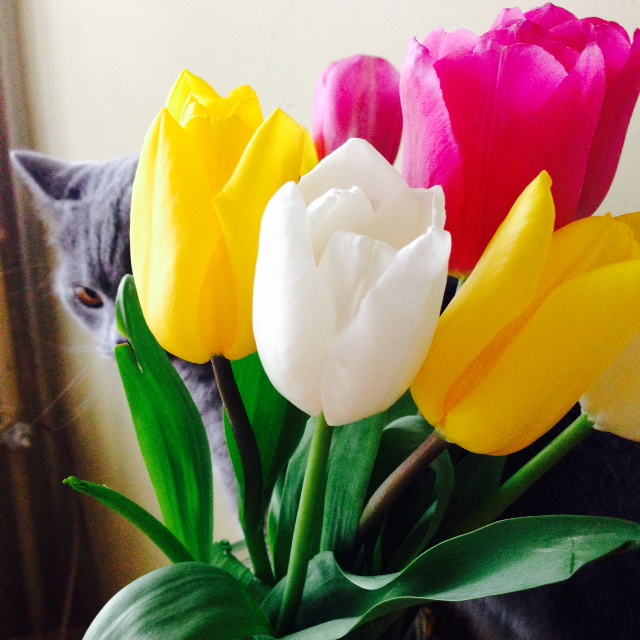 ロシア人の恋愛観　その①