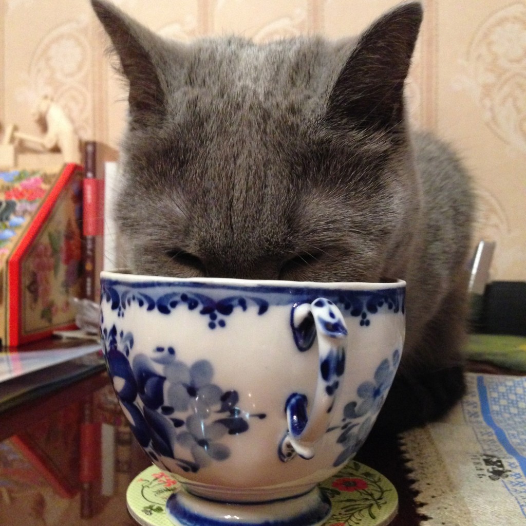 このお茶美味しいね