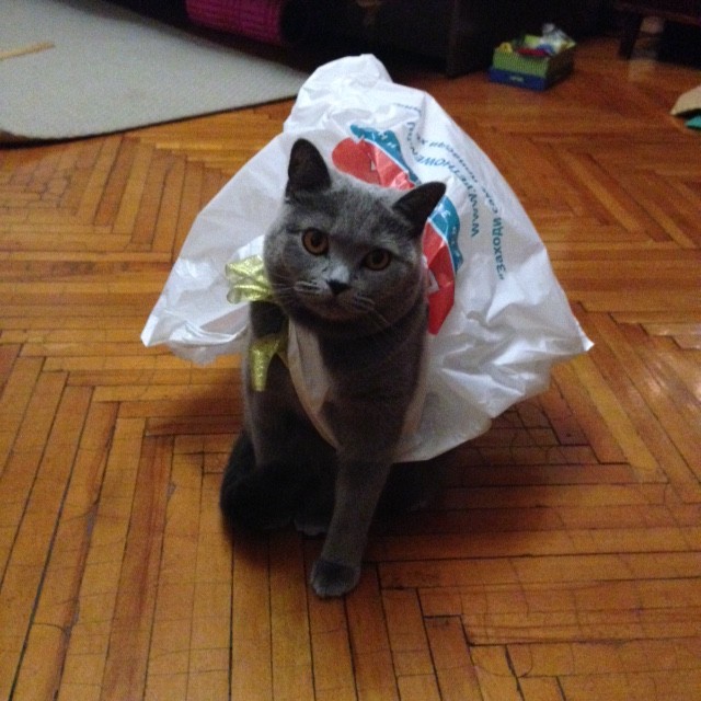 これは絡まったの