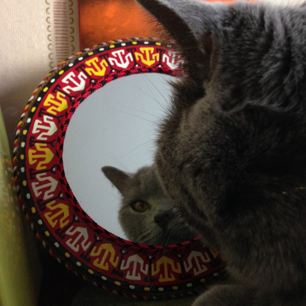 鏡よ鏡・・・「誰?これ」