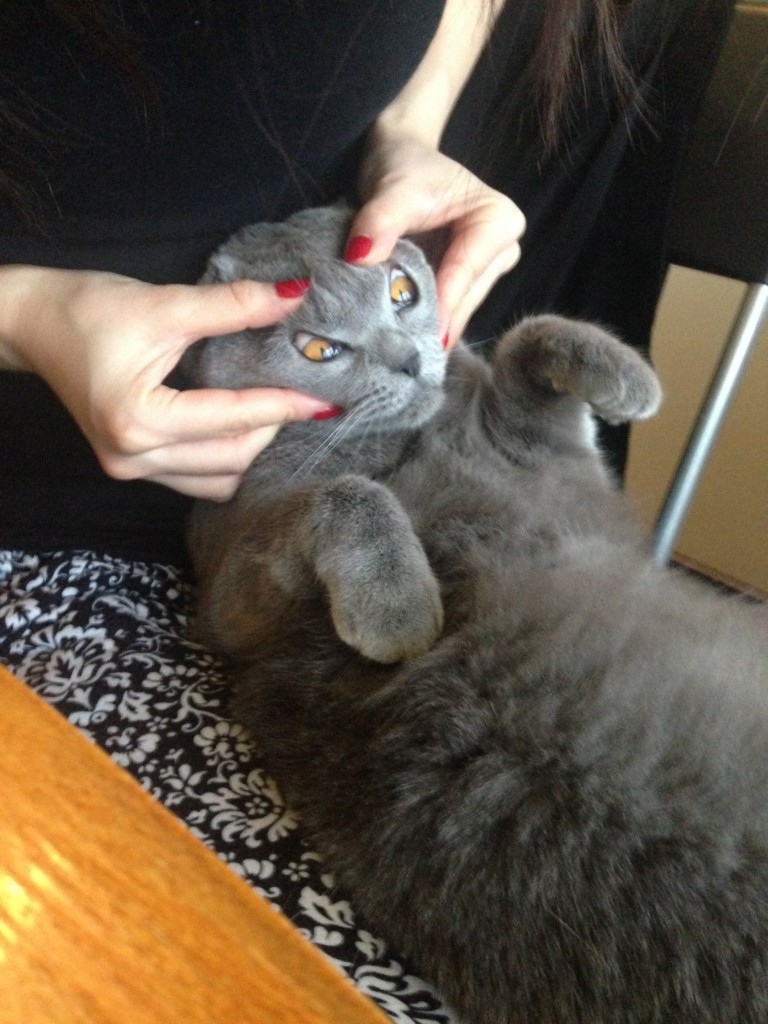 さぁ、しっかり目を空けて!良く見るのだっ!