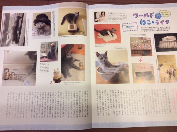 こんな感じです