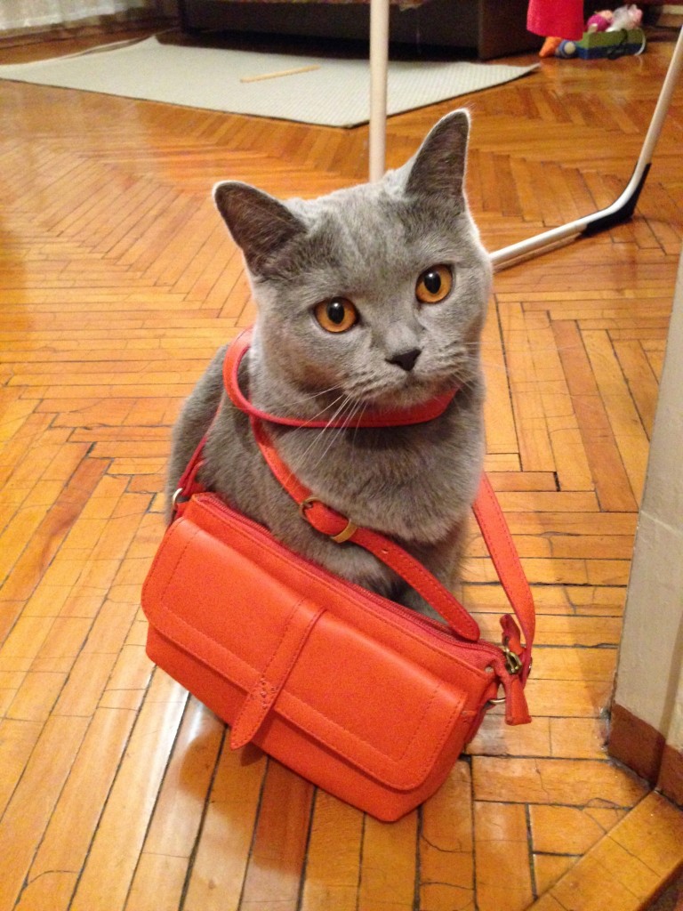 お出かけしよう？