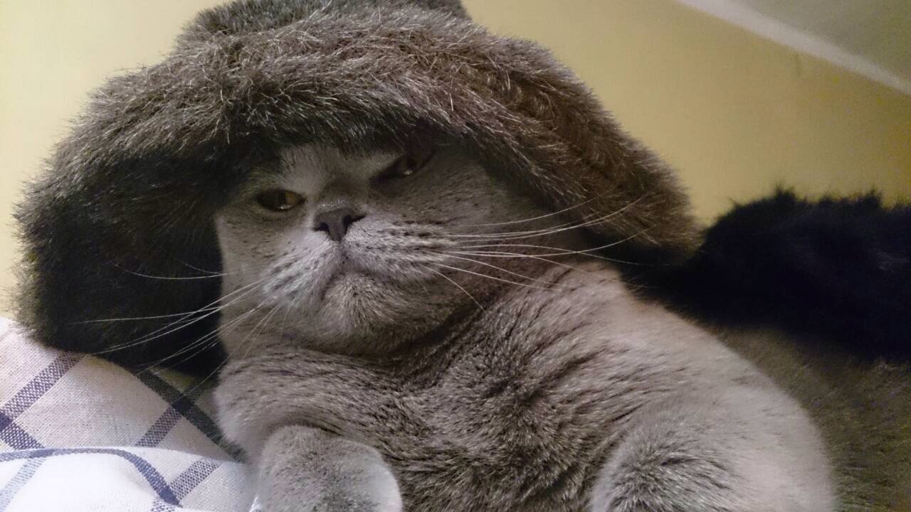 なぜ留学に至ったか。思い込みの激しさも一つの才能？