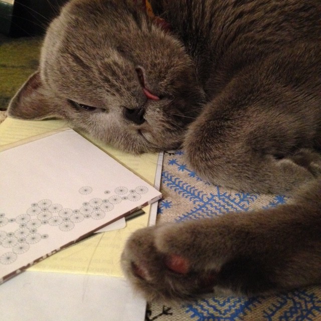 お願い寝させて