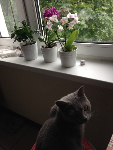 大家さんと仲良くね