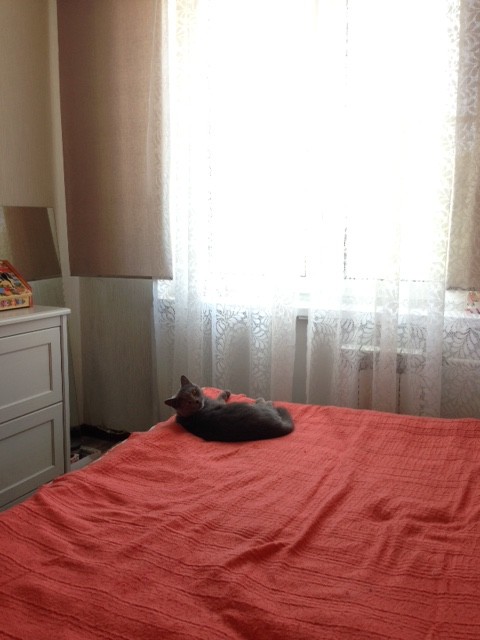 私も気に入った〜