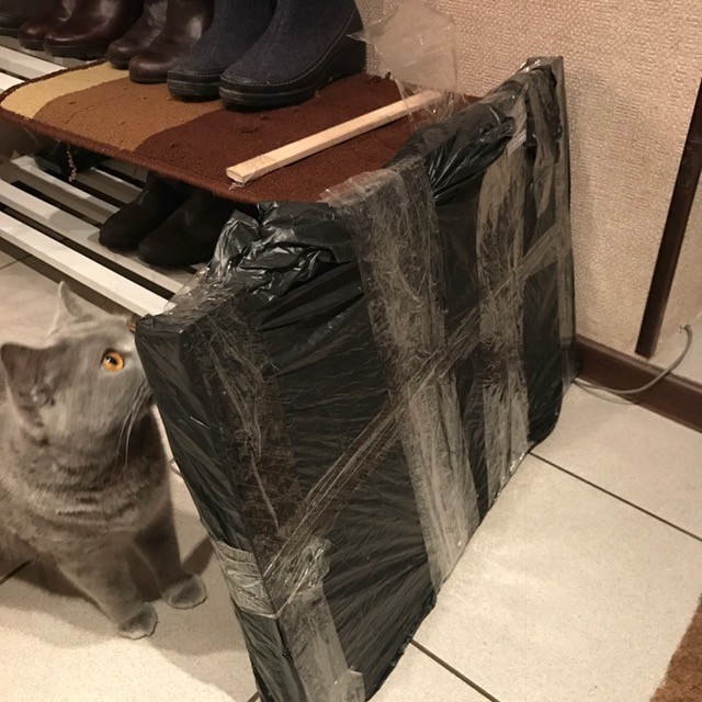 くんくん、なんだこれ