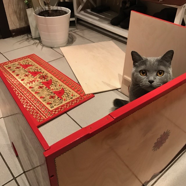 これはこういうもの?