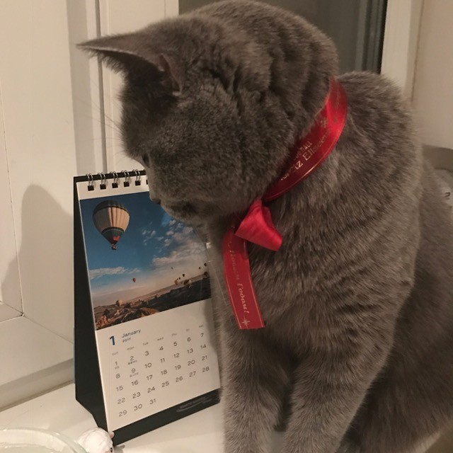 あ、カレンダー変わってる・・・