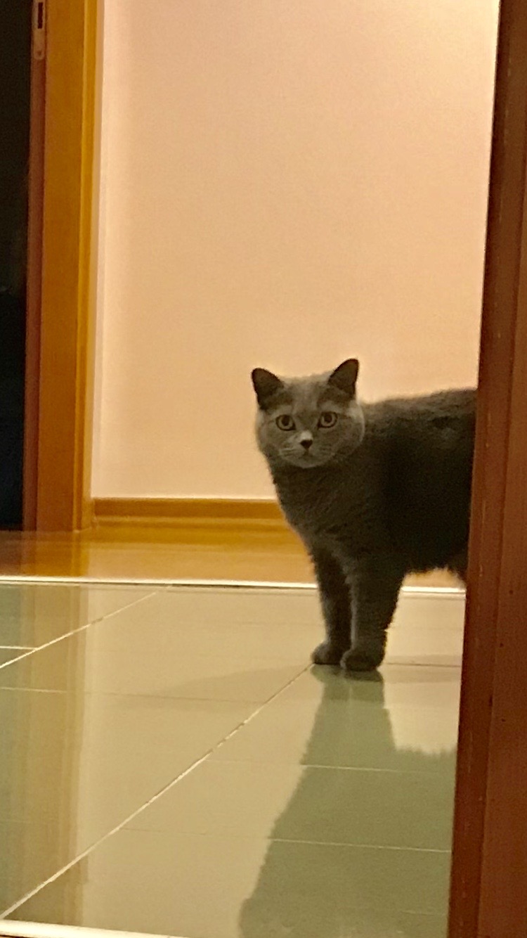 自粛生活で思うこと。比較を良い方に捉えてみる一考