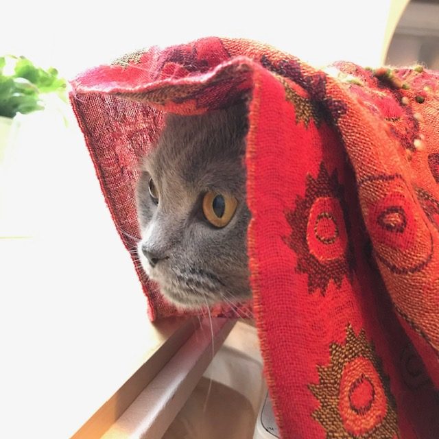 バレエを習うことによって得られるもの