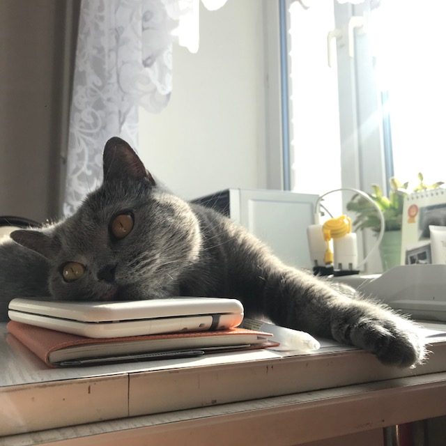 海外で住むという事