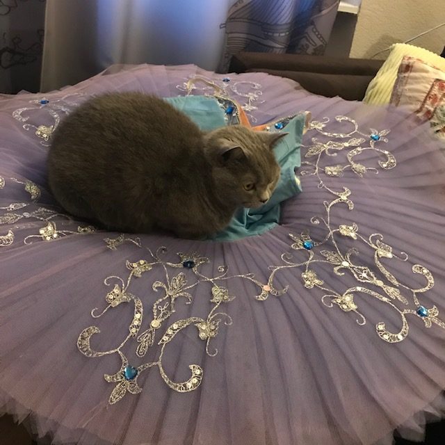 舞台芸術をより身近に、気軽に