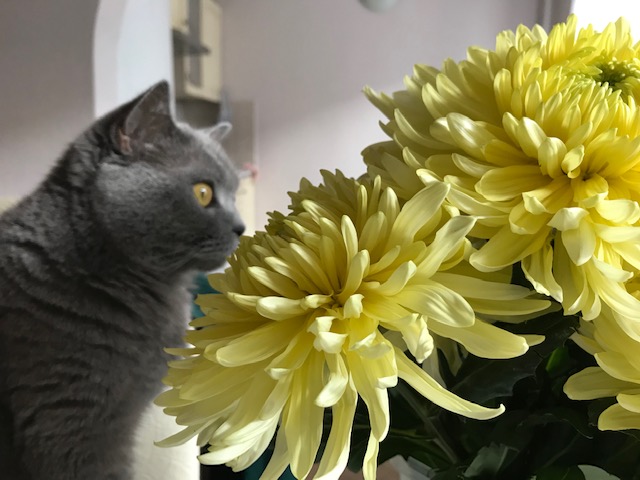 多面的な「舞台芸術」を学ぶ機会作り