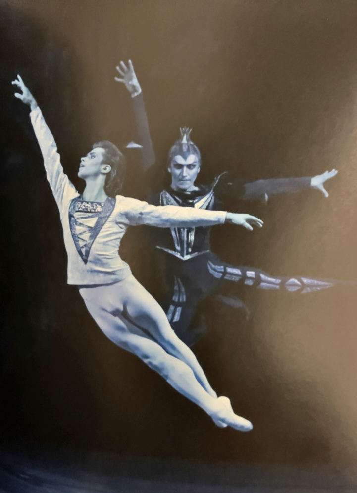 【白鳥の湖】と知り合おう♪